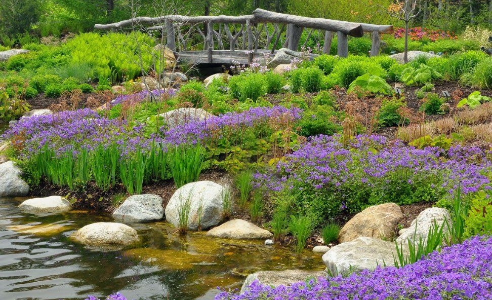 Longfellow Arboretum, United States